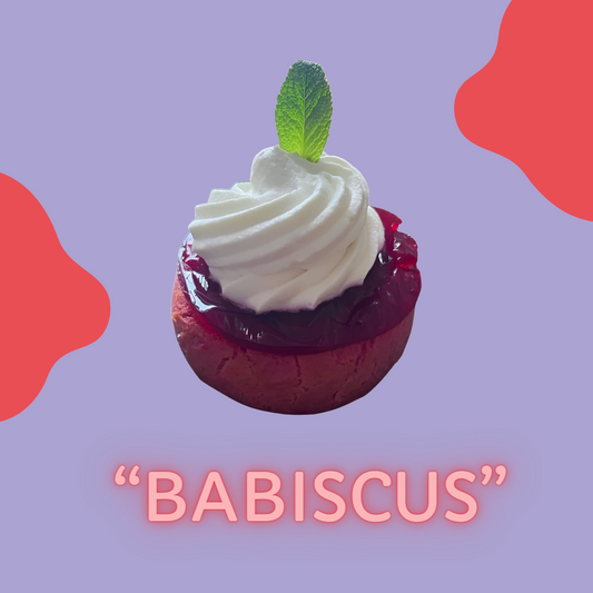 "Babiscus", Femmage au roman "Une si longue lettre" de l'autrice Mariama Bâ